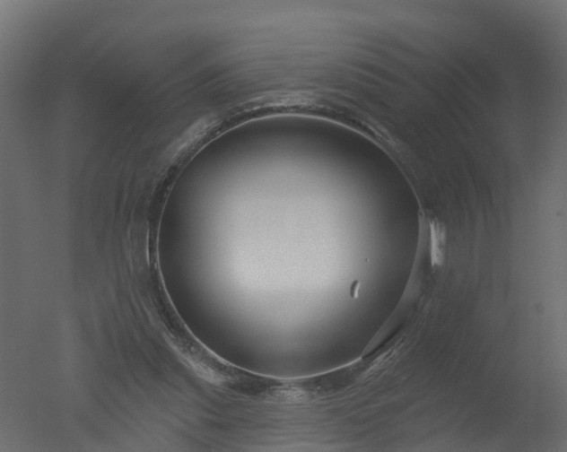 X0000050720253200506151921