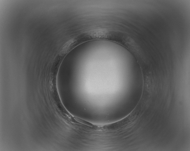 X0000050720259200506151921