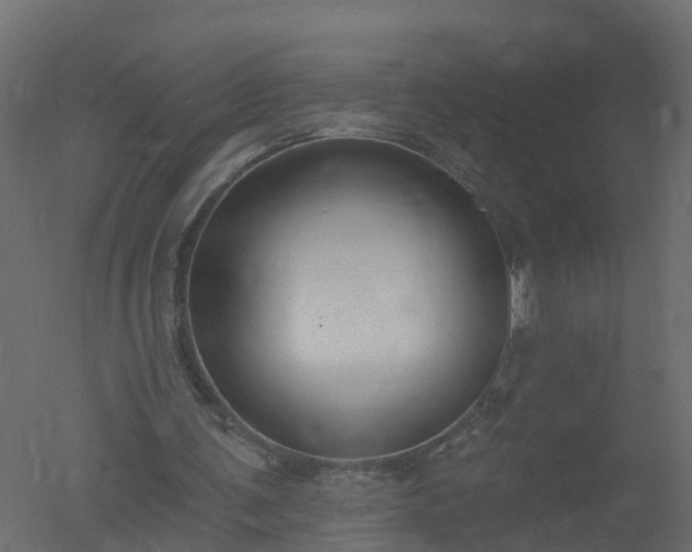X0000050720291200506151921