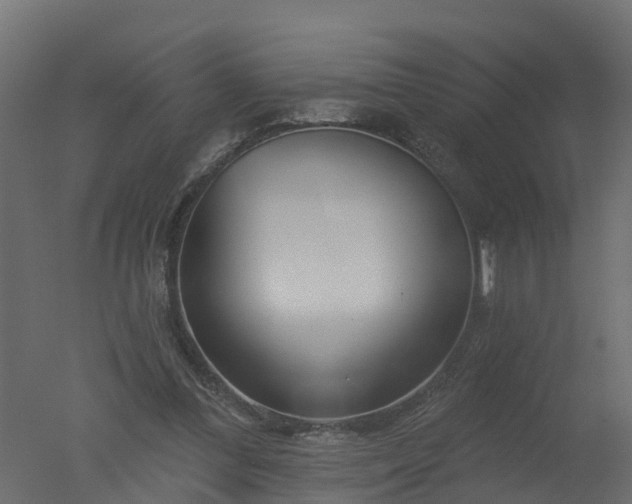 X0000050720300200506151921
