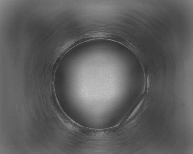 X0000050720301200506151921
