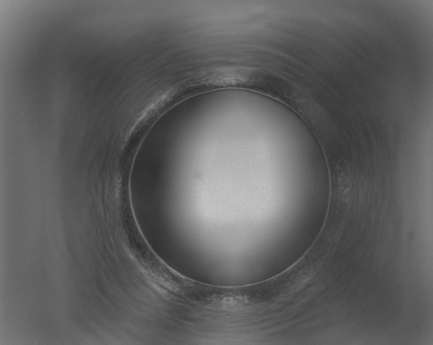 X0000050720304200506151921