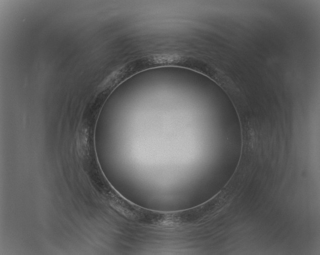 X0000050720308200506151921