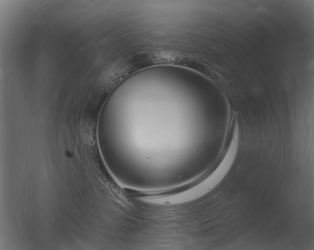 X0000050720331200506151920