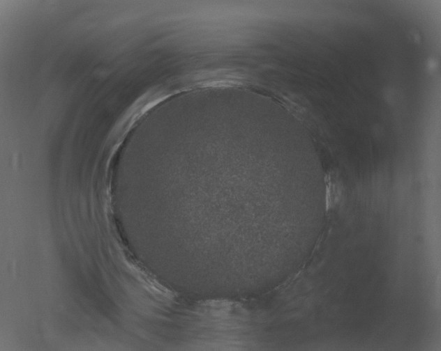 X0000050720339200506151919