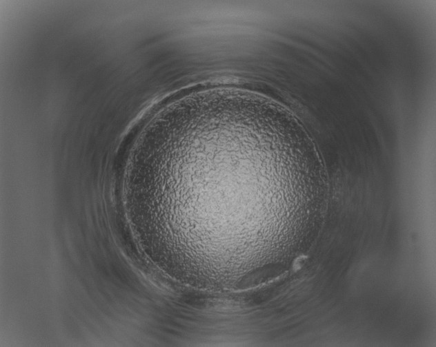 X0000050720347200506151919