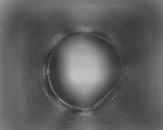 X0000050720358200506151920