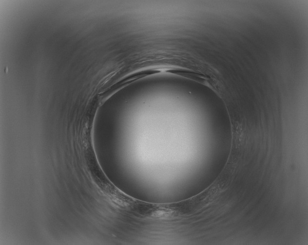 X0000050720364200506151920