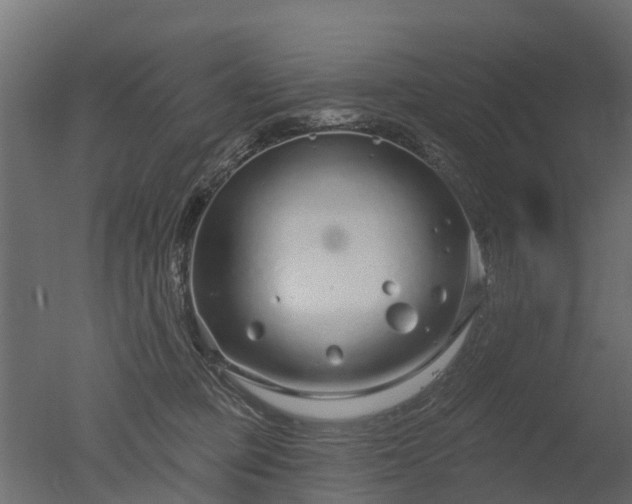 X0000050720373200506151920