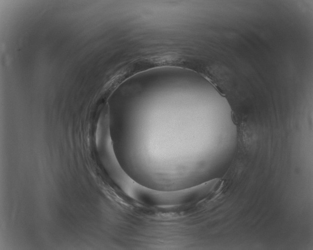 X0000050720380200506151920