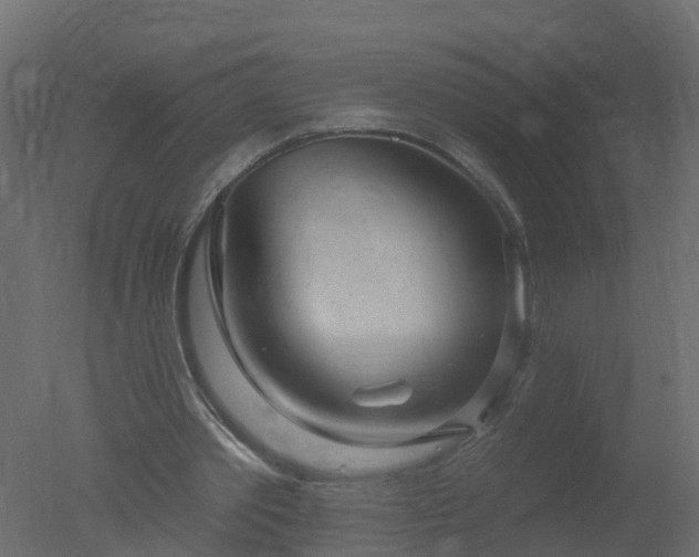 X0000050720389200506151919