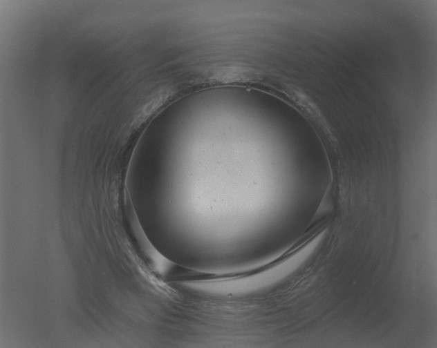 X0000050720393200506151919