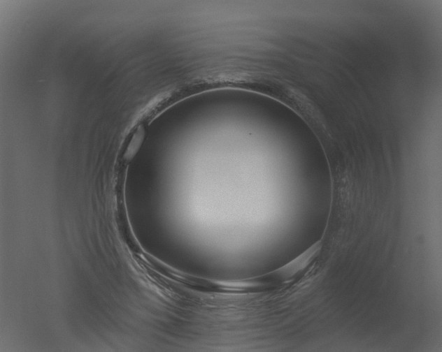 X0000050720395200506151919
