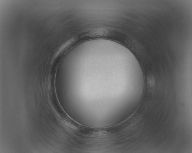 X0000050720396200506151919