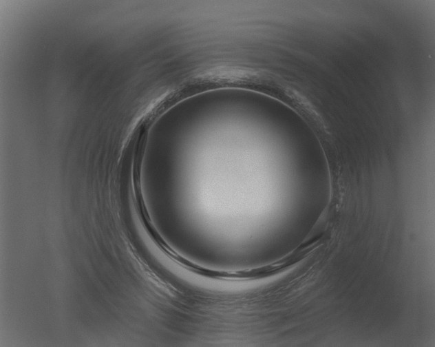 X0000050720399200506151919
