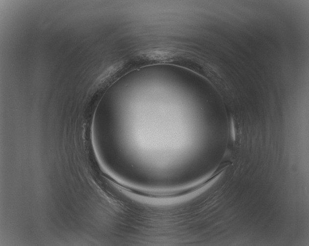 X0000050720404200506151919
