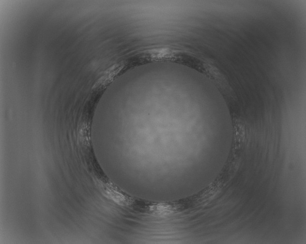 X0000050720419200506151919