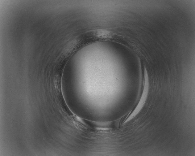 X0000050720424200506151919
