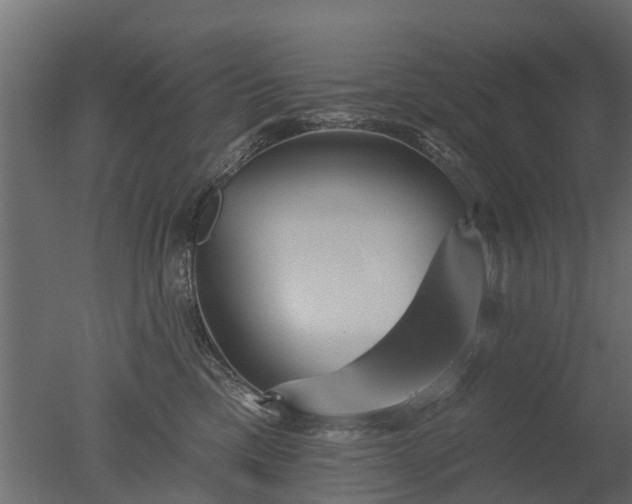 X0000050720425200506151919
