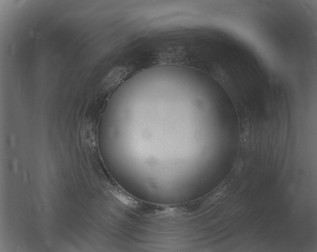 X0000050720430200506151919