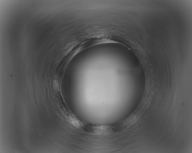 X0000050720432200506151918