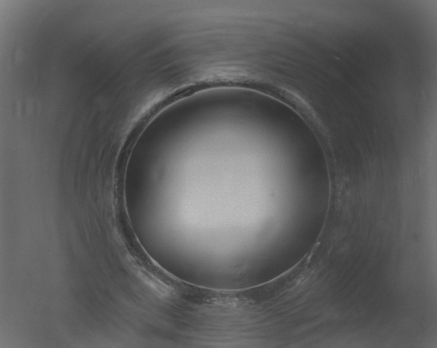 X0000050720439200506151918