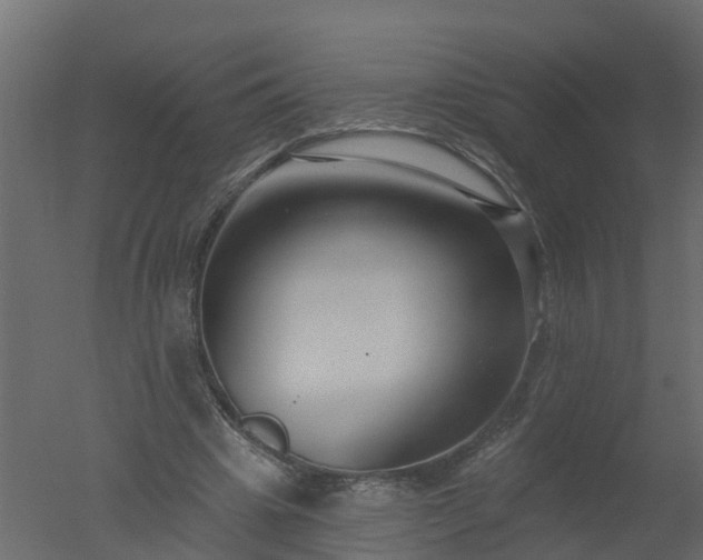 X0000050720441200506151918