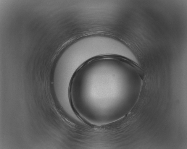 X0000050720442200506151918