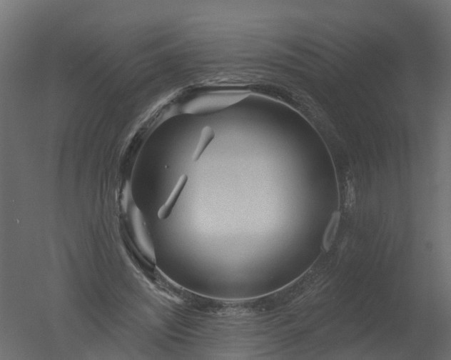 X0000050720444200506151918