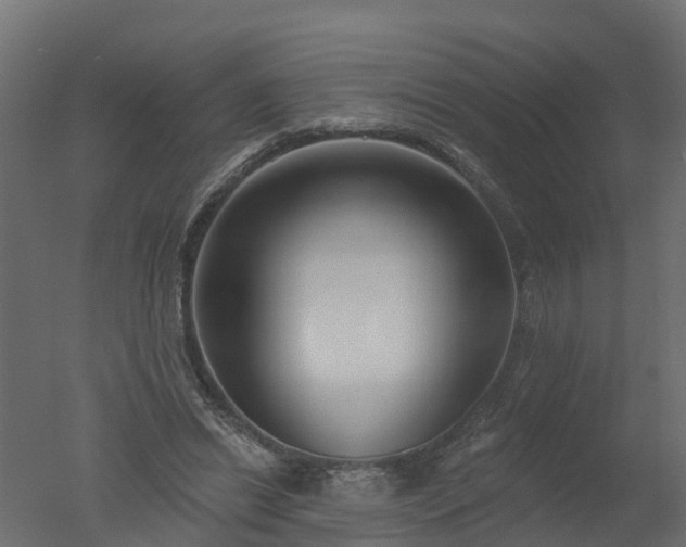 X0000050720446200506151918