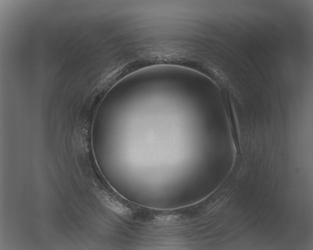 X0000050720450200506151918