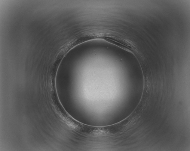 X0000050720453200506151918