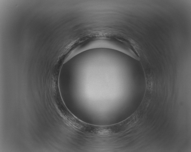 X0000050720456200506151918