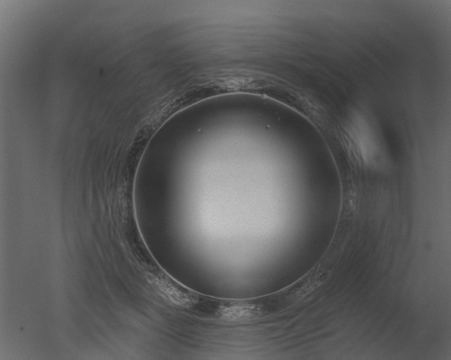 X0000050720461200506151918