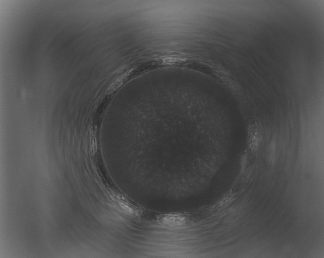 X0000050720471200506151918