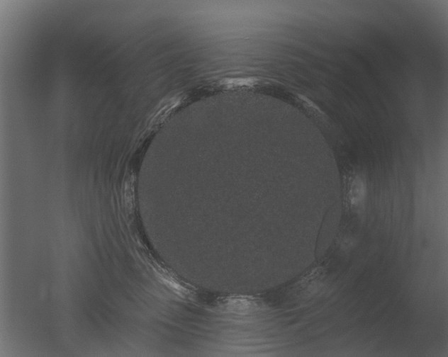 X0000050720475200506151918