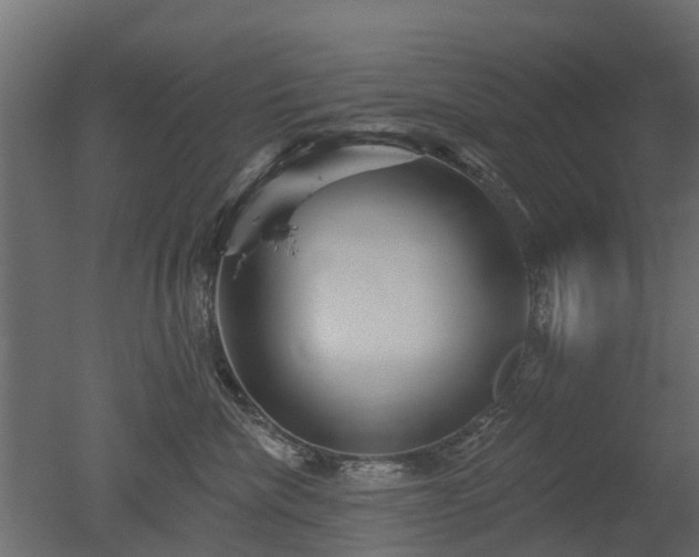 X0000050720476200506151918