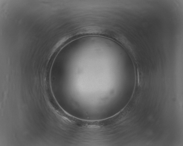 X0000050720483200506151918