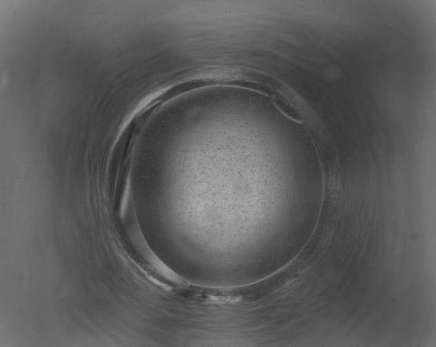 X0000050720484200506151918