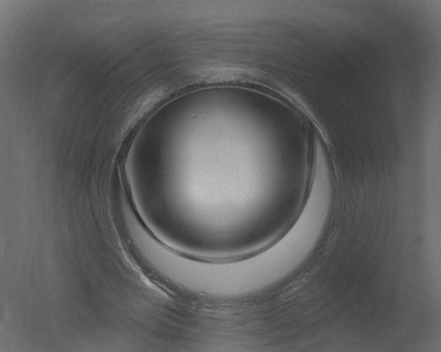 X0000050720485200506151918