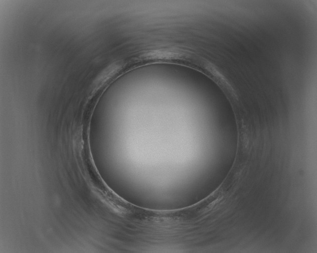 X0000050720486200506151918