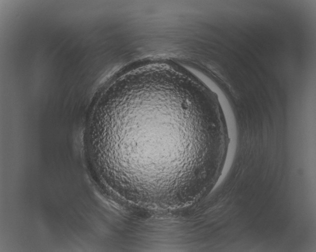 X0000050720491200506151917