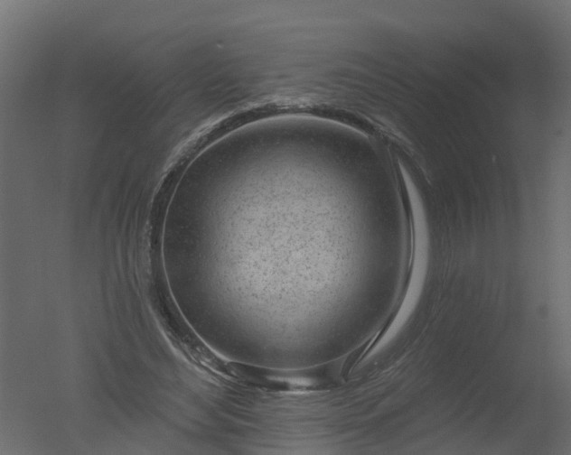 X0000050720492200506151917