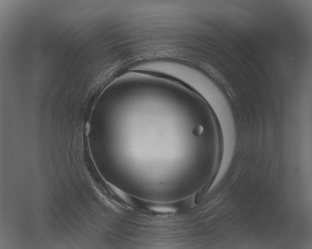 X0000050720493200506151917
