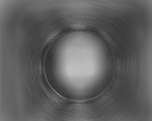 X0000050720494200506151917