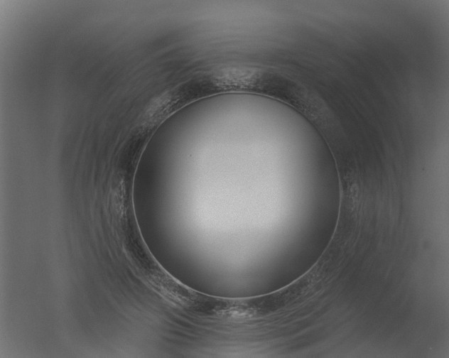 X0000050720498200506151917