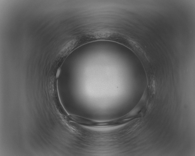 X0000050720501200506151917