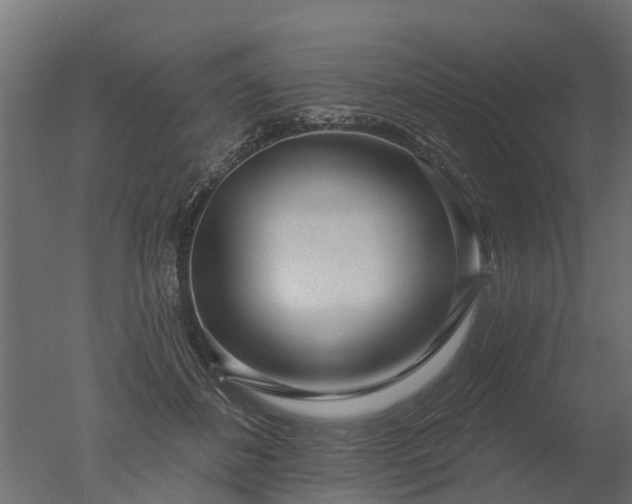 X0000050720508200506151917