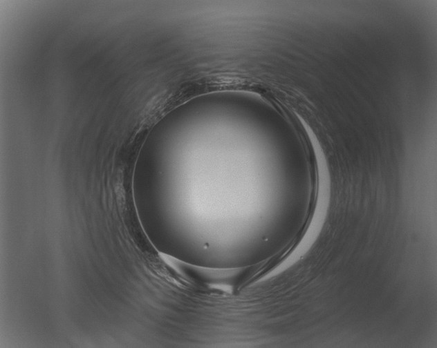 X0000050720516200506151917