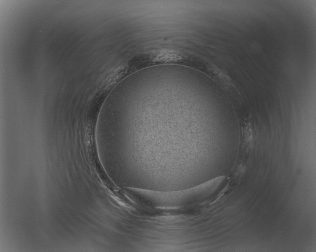 X0000050720517200506151917